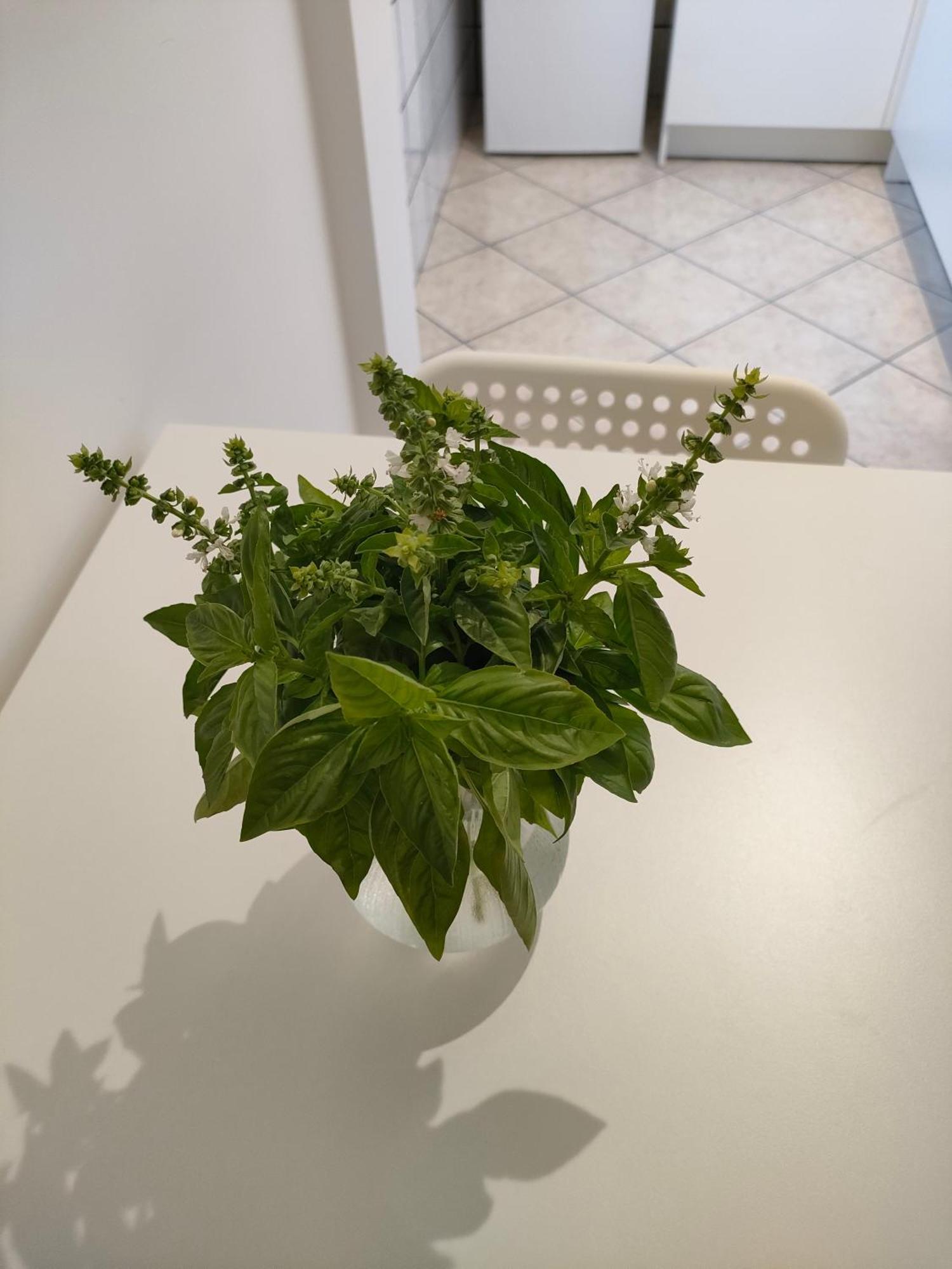 Lilla Housing Apartamento Castellammare di Stabia Exterior foto